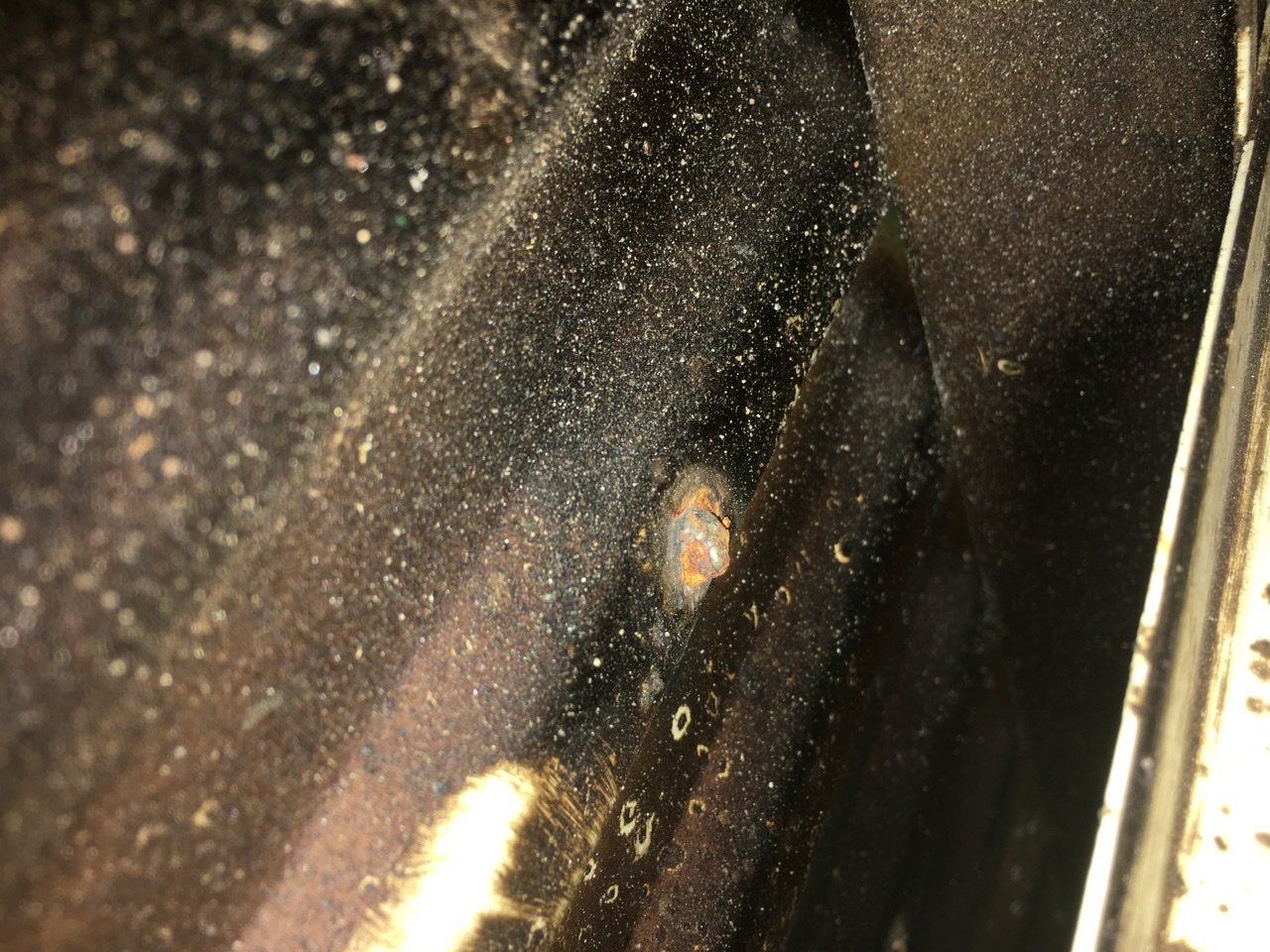 196398FC-8B83-4281-B442-E6C7054B316F.jpeg, 428.86 kb, 1280 x 960