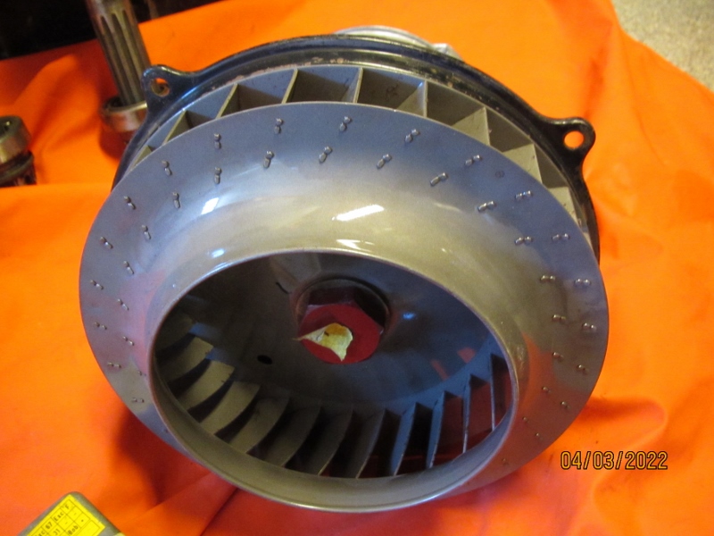 IMG_0928 (800x600).jpg, 215.63 kb, 800 x 600