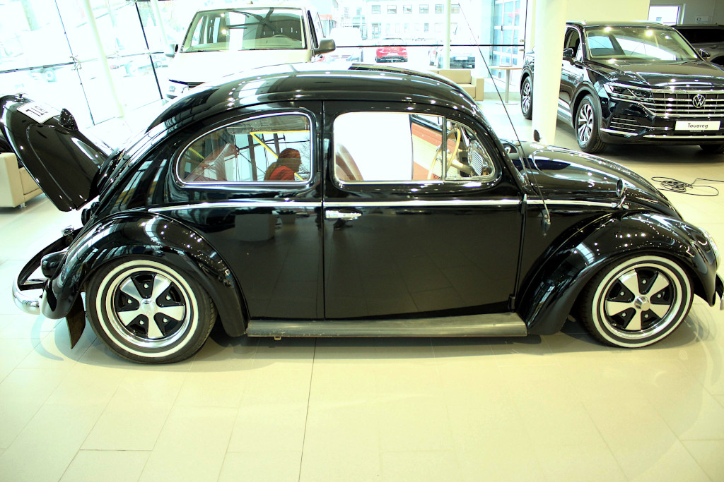 IMG_1846.JPG, 262.23 kb, 1024 x 683