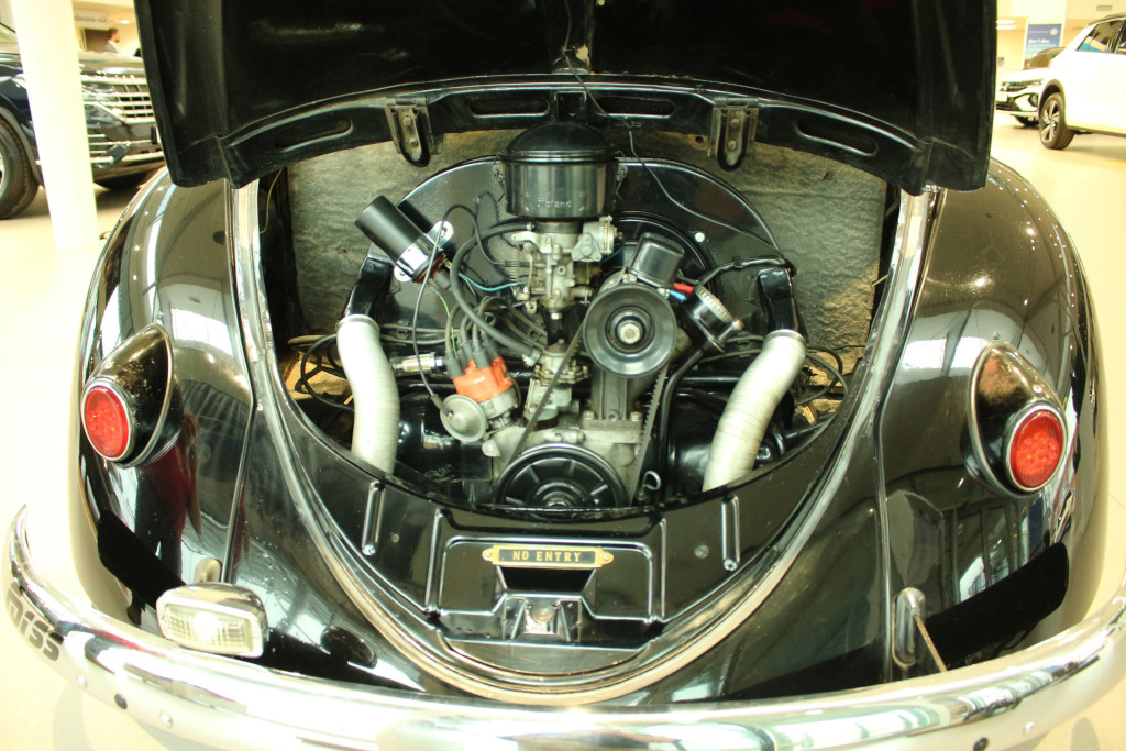 IMG_1845.jpg, 261.2 kb, 1024 x 683