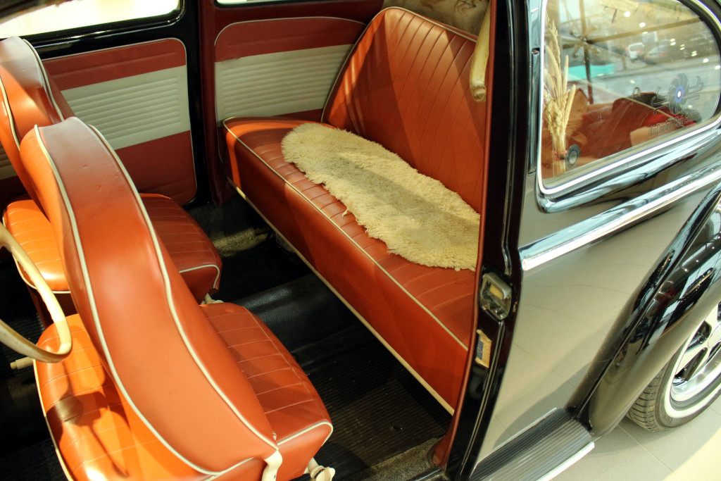 IMG_1854.JPG, 238.67 kb, 1024 x 683