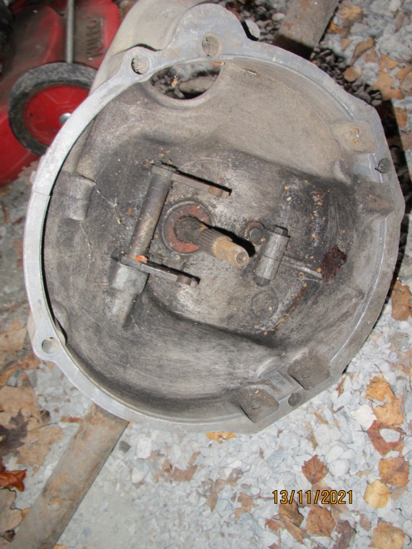 IMG_0669 (600x800).jpg, 306.9 kb, 600 x 800