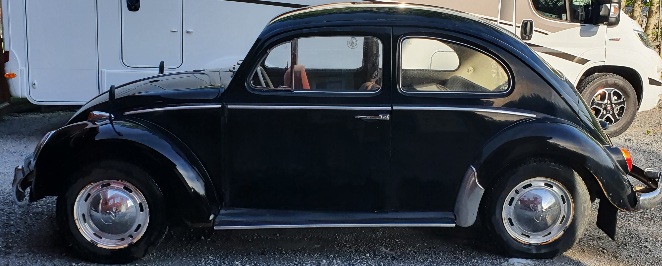 20220523_182421.jpg, 78.45 kb, 662 x 266