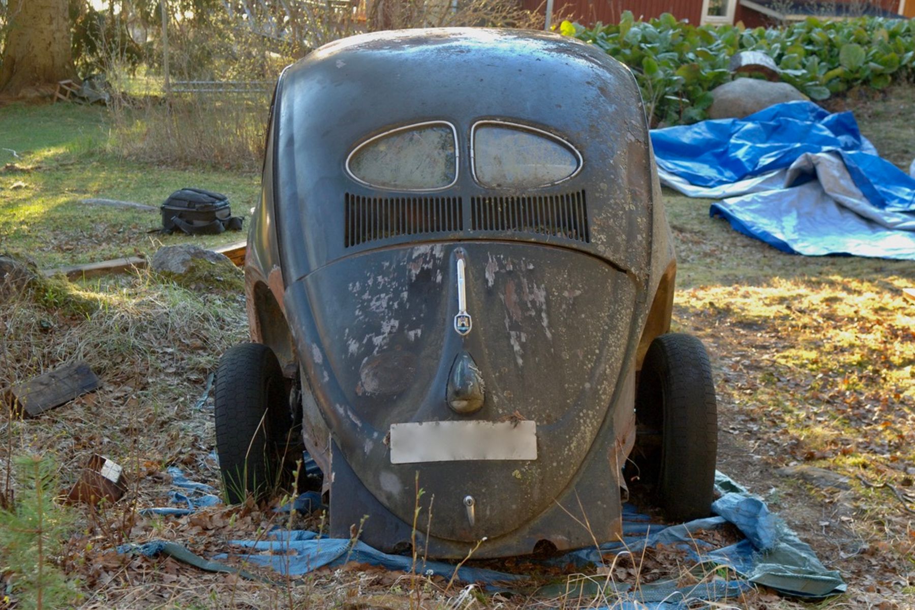 Iho2BzklvnDSe5YUQrwVjWA4xtE0GLi1.jpeg, 374.28 kb, 1800 x 1200