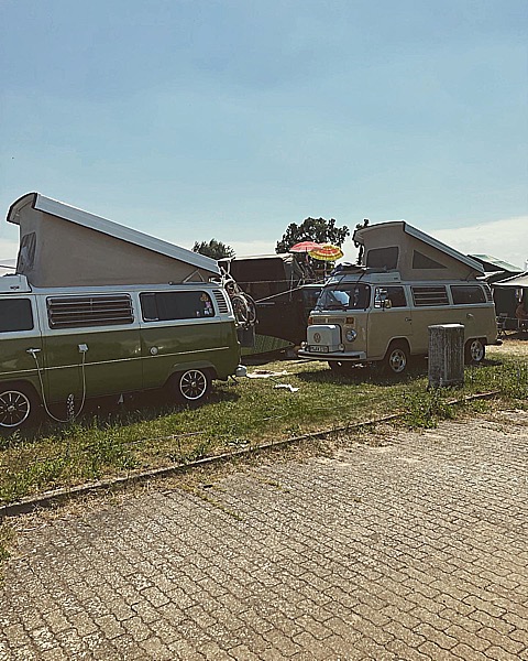 82BA0EC2-CDE7-4702-91EF-B9BD727288EC.jpeg, 140.02 kb, 480 x 600