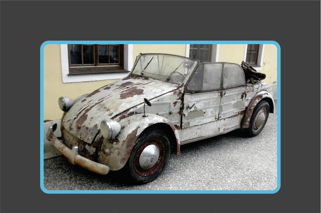 Kübel gefund (2).jpg, 178.21 kb, 1024 x 681