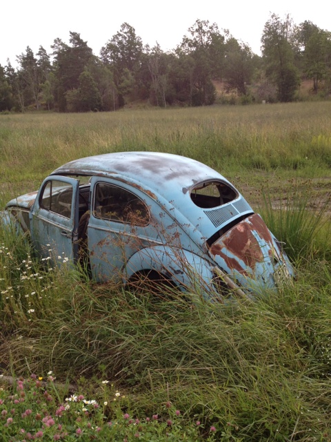 oval 1.JPG, 174.75 kb, 480 x 640