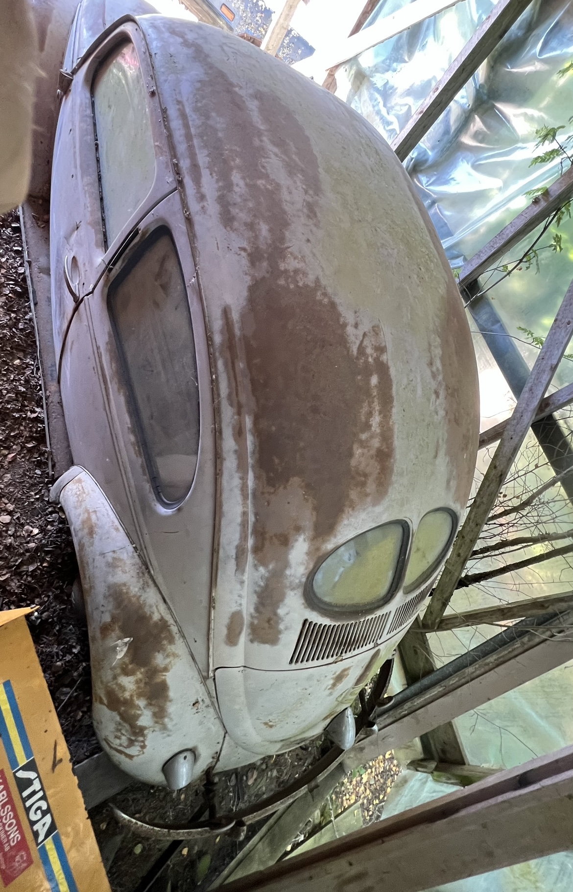 9A329665-F5EF-400D-89D6-5D6C1FF82F9F.jpeg, 791.87 kb, 1170 x 1822