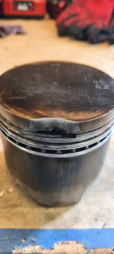 PSX_20220823_084838.jpg, 246.8 kb, 450 x 1000