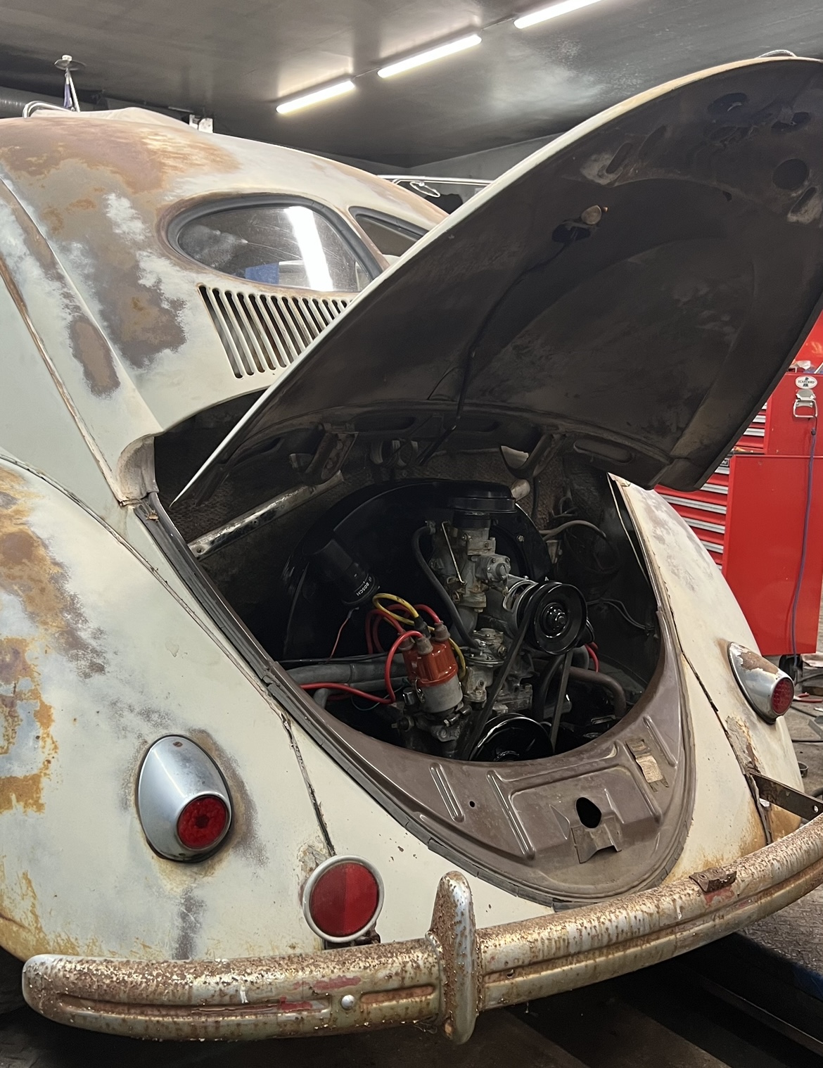 8F5AB747-ADA2-4AB1-86D9-642CCEF1649A.jpeg, 588.14 kb, 1170 x 1518