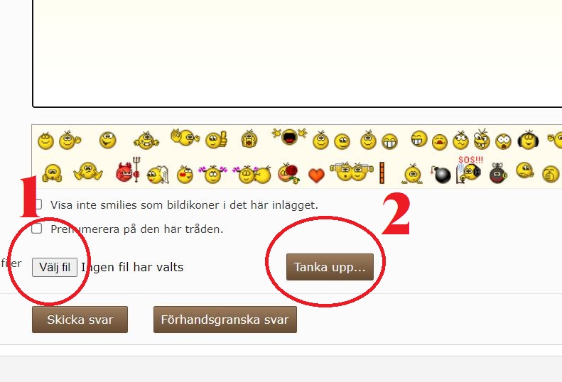 Skärmklippb.jpg, 84.27 kb, 791 x 538