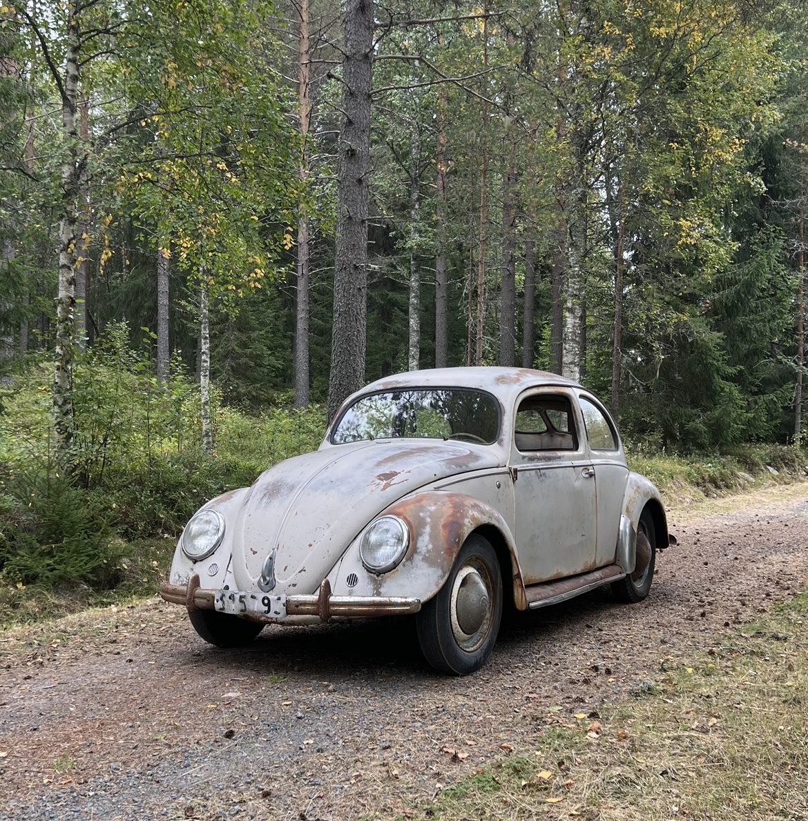 6C93B477-64C2-462C-811A-8889C64D3552.jpeg, 912.69 kb, 1170 x 1190