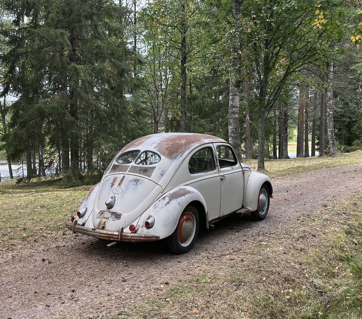 64EE7EB9-A347-406A-AD40-FA00E527A5E7.jpeg, 783.01 kb, 1170 x 1032