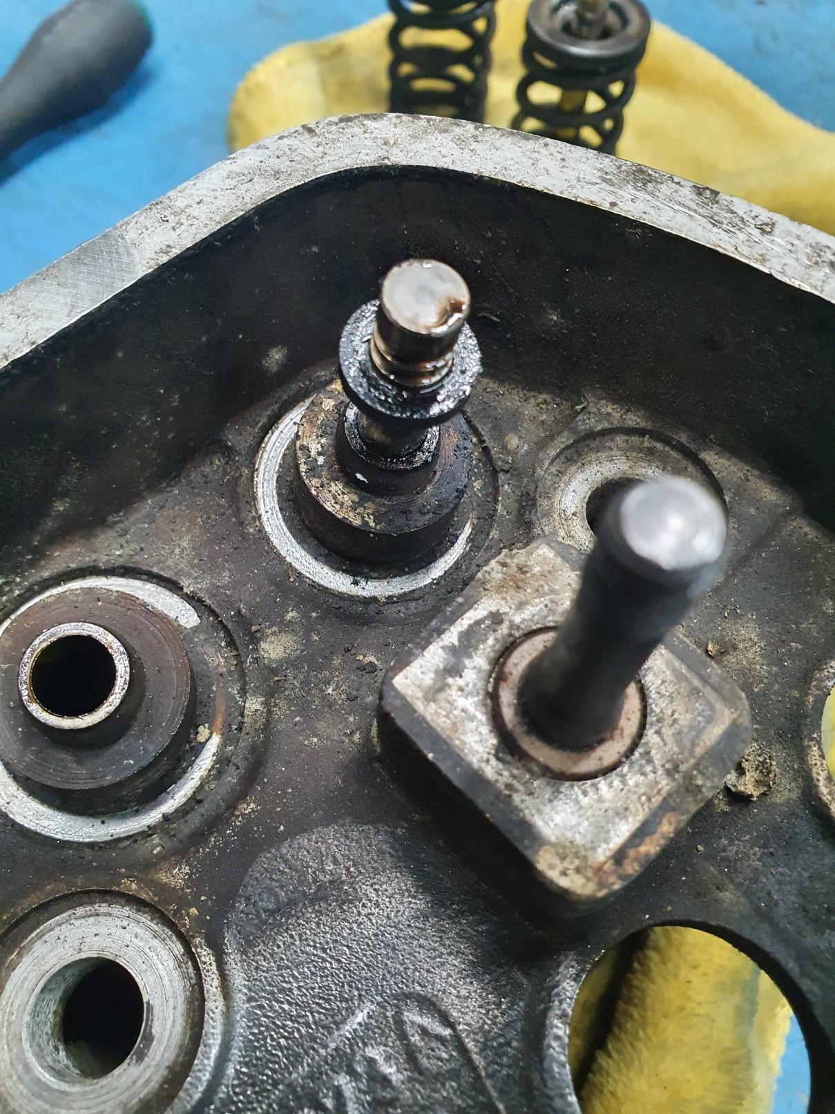 20220927_115840_copy_1209x1612.jpg, 572.5 kb, 1209 x 1612