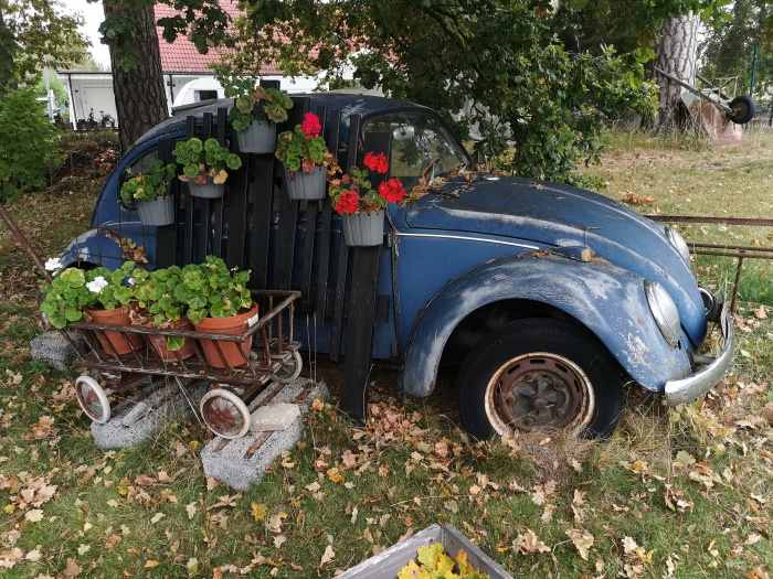 IMG_20220923_122021.jpg, 265.15 kb, 700 x 525