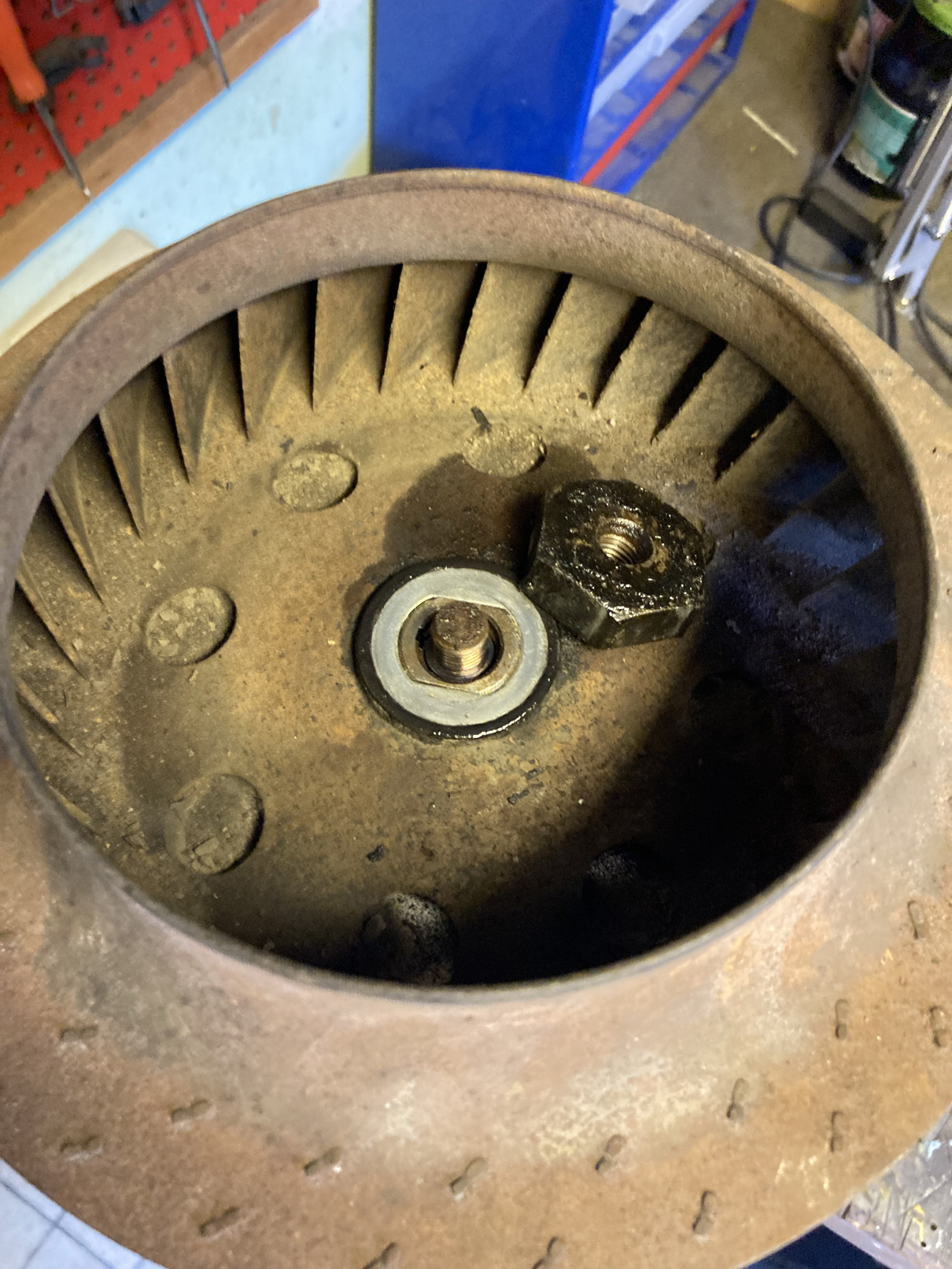 IMG_3858.JPG, 497.7 kb, 1210 x 1613