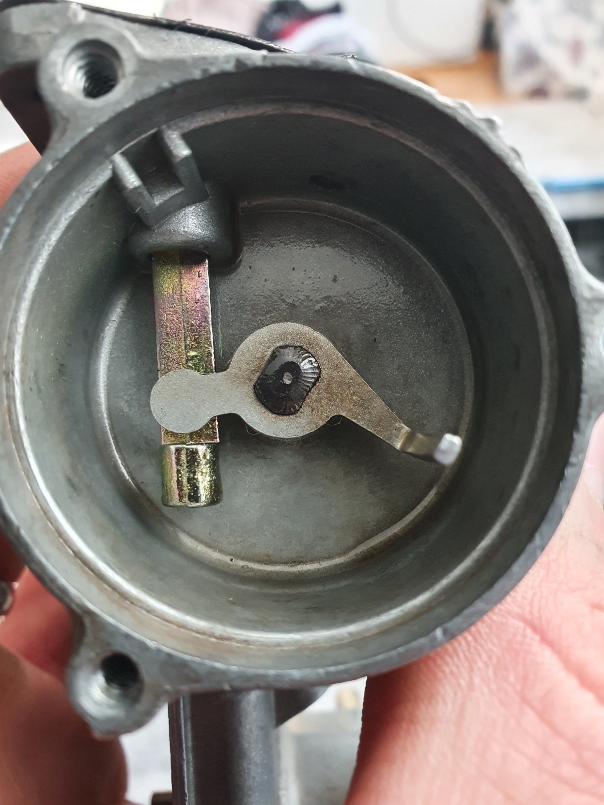 20221003_153530_copy_1209x1612.jpg, 358.83 kb, 1209 x 1612