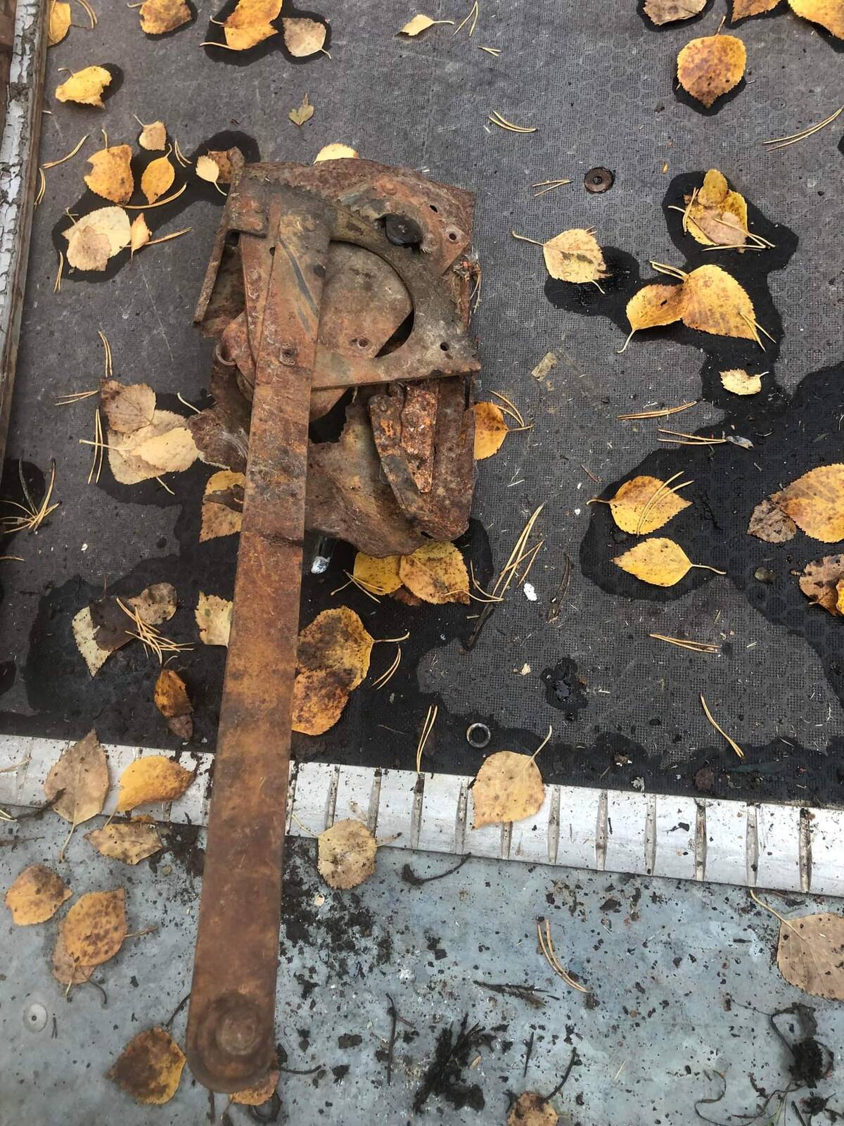 37069-b154cc3a76bc4a2bdd73e578b1b7aa1e.jpg, 357.76 kb, 1200 x 1600