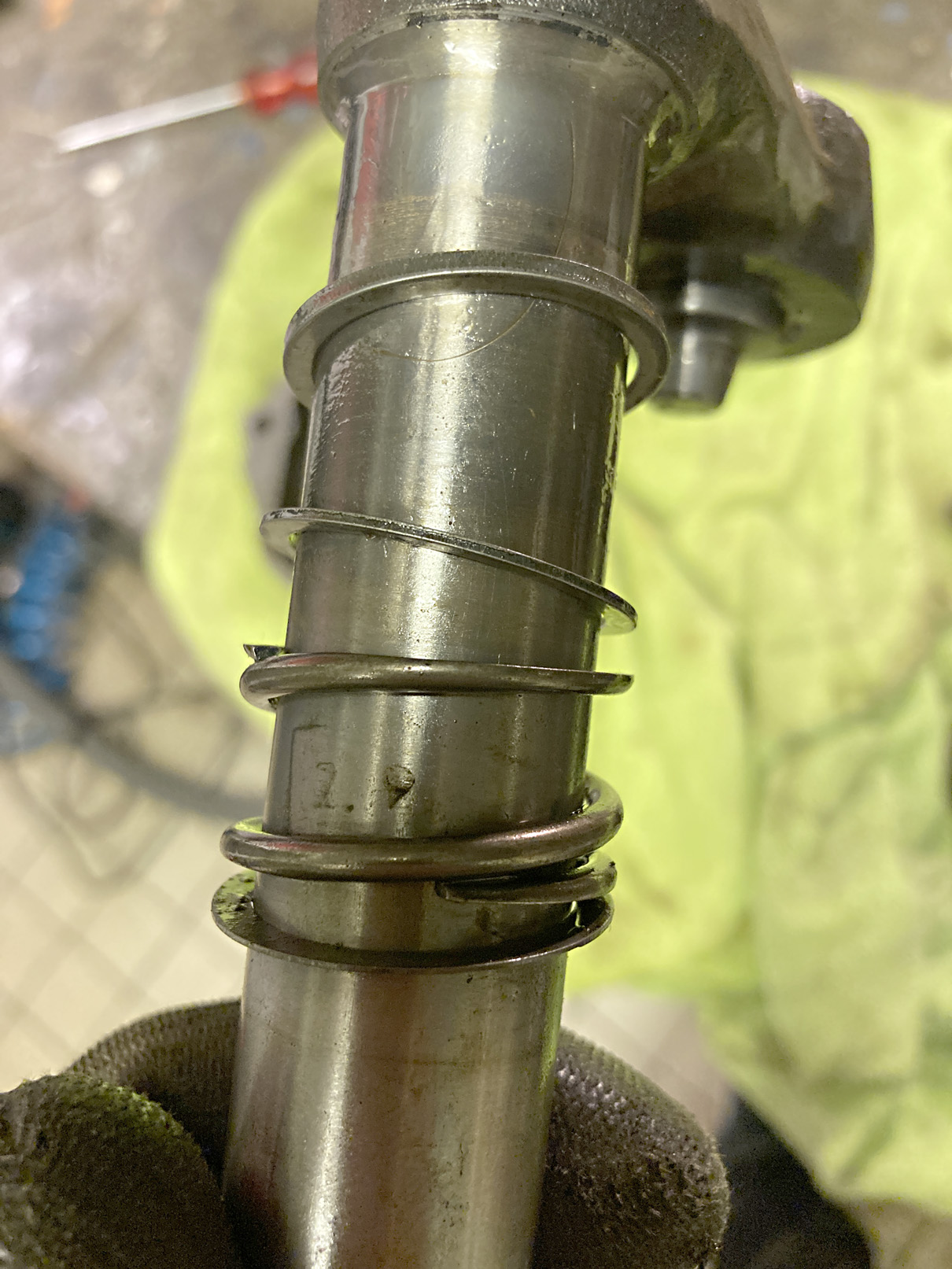 IMG_3959.JPG, 432.03 kb, 1210 x 1613