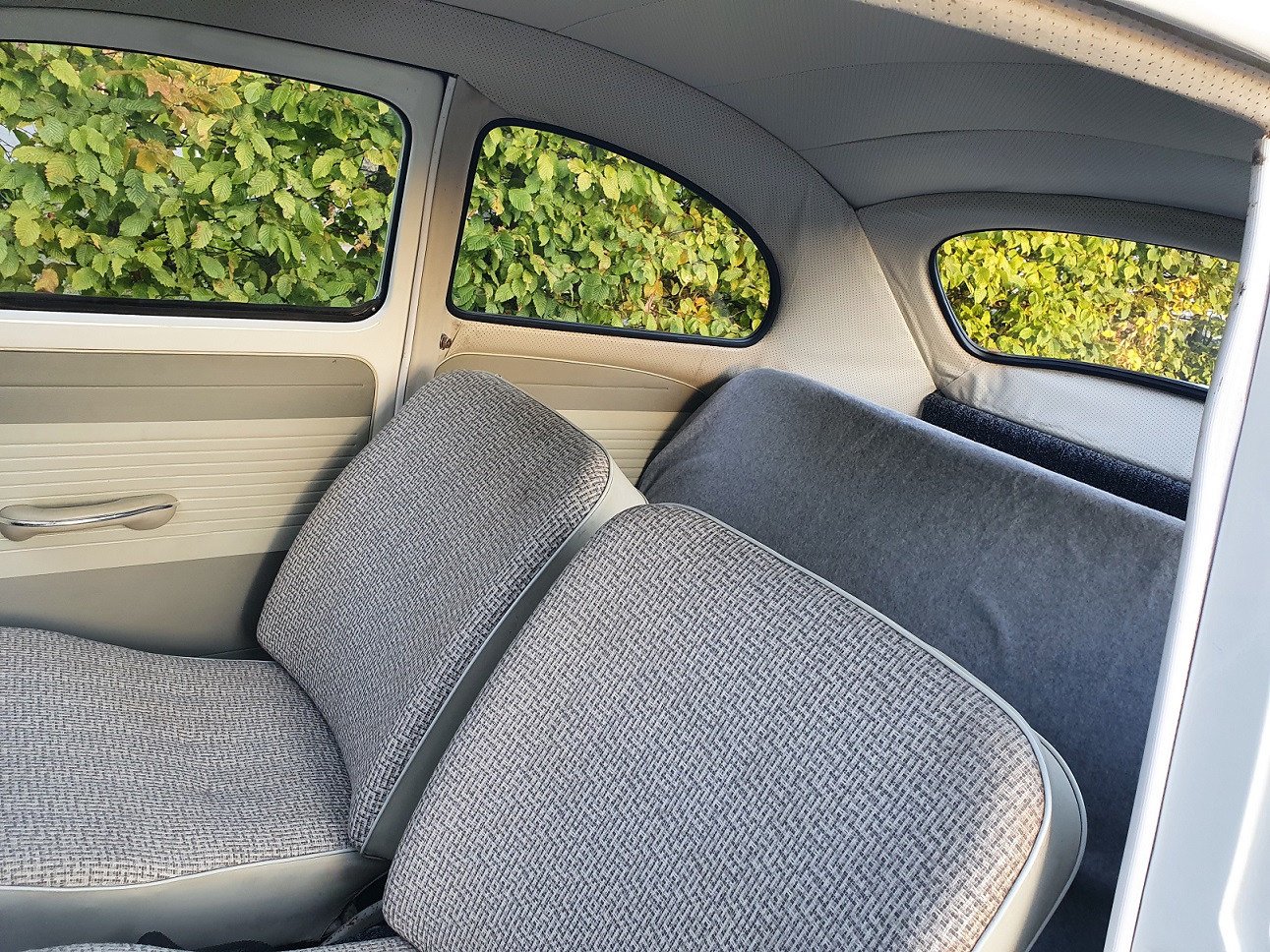 20221020_170000.jpg, 691.42 kb, 1291 x 968