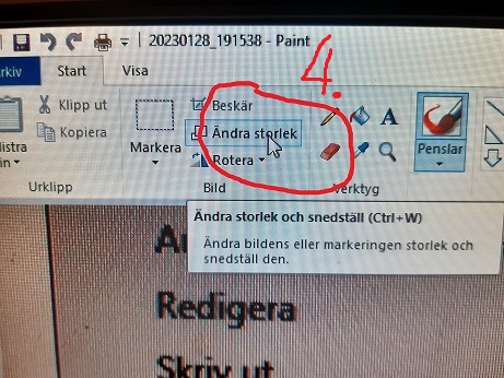 bild (2).jpg, 107.38 kb, 461 x 346