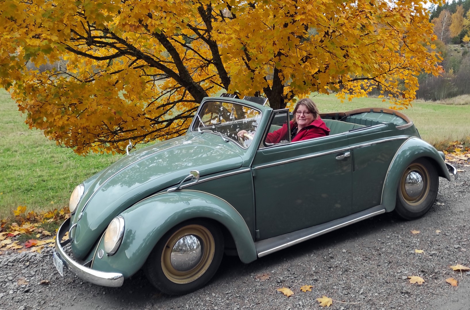 IMG_20201025_140008b (Large).jpg, 613.5 kb, 1635 x 1080