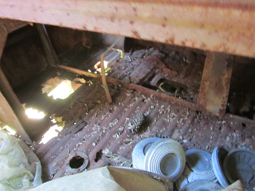 IMG_4020.JPG, 198.2 kb, 864 x 648