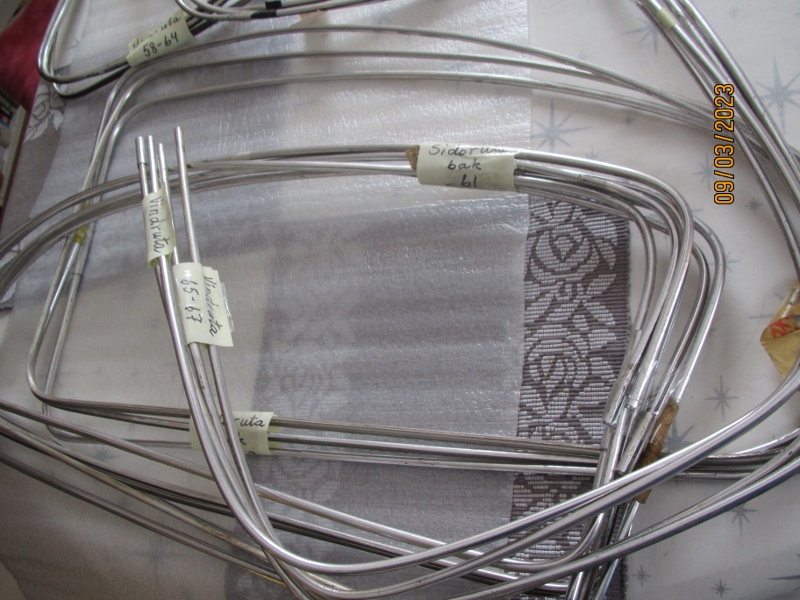 IMG_1817 (800x600).jpg, 277.32 kb, 800 x 600