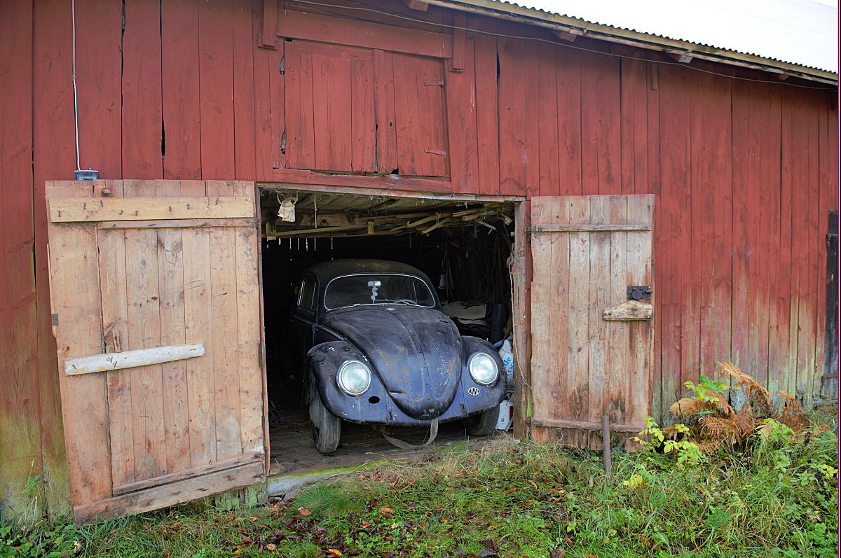 FBDBA2A3-EF1E-492F-8133-F64C8DD932AE.jpeg, 309.65 kb, 1200 x 797