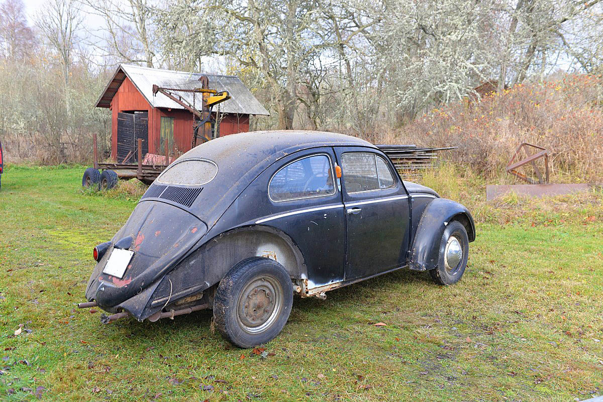 960D2EEB-BB3A-4512-8EAF-40A81CC90B1B.jpeg, 375.71 kb, 1200 x 800