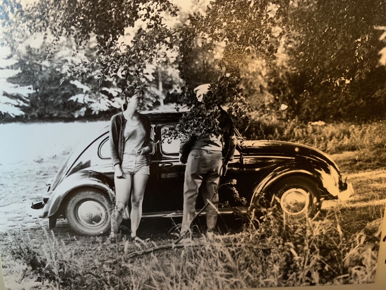 1662362C-44FC-40EC-ADBB-783836EDE4E0.jpeg, 521.76 kb, 1280 x 960