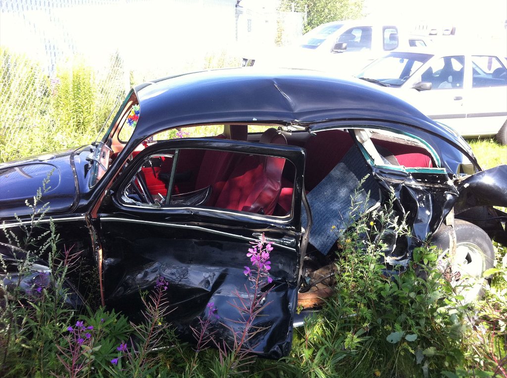 Linus krck 020 (1).JPG, 215.7 kb, 1024 x 764