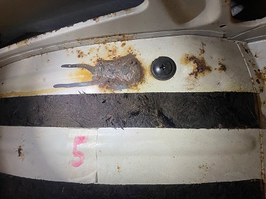 Bild10.jpg, 44.34 kb, 380 x 285