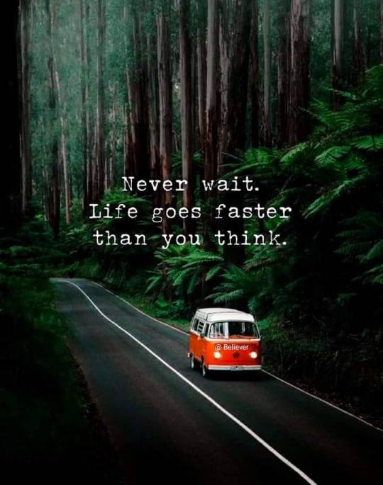 ,Never wait,.jpg, 46.61 kb, 540 x 685