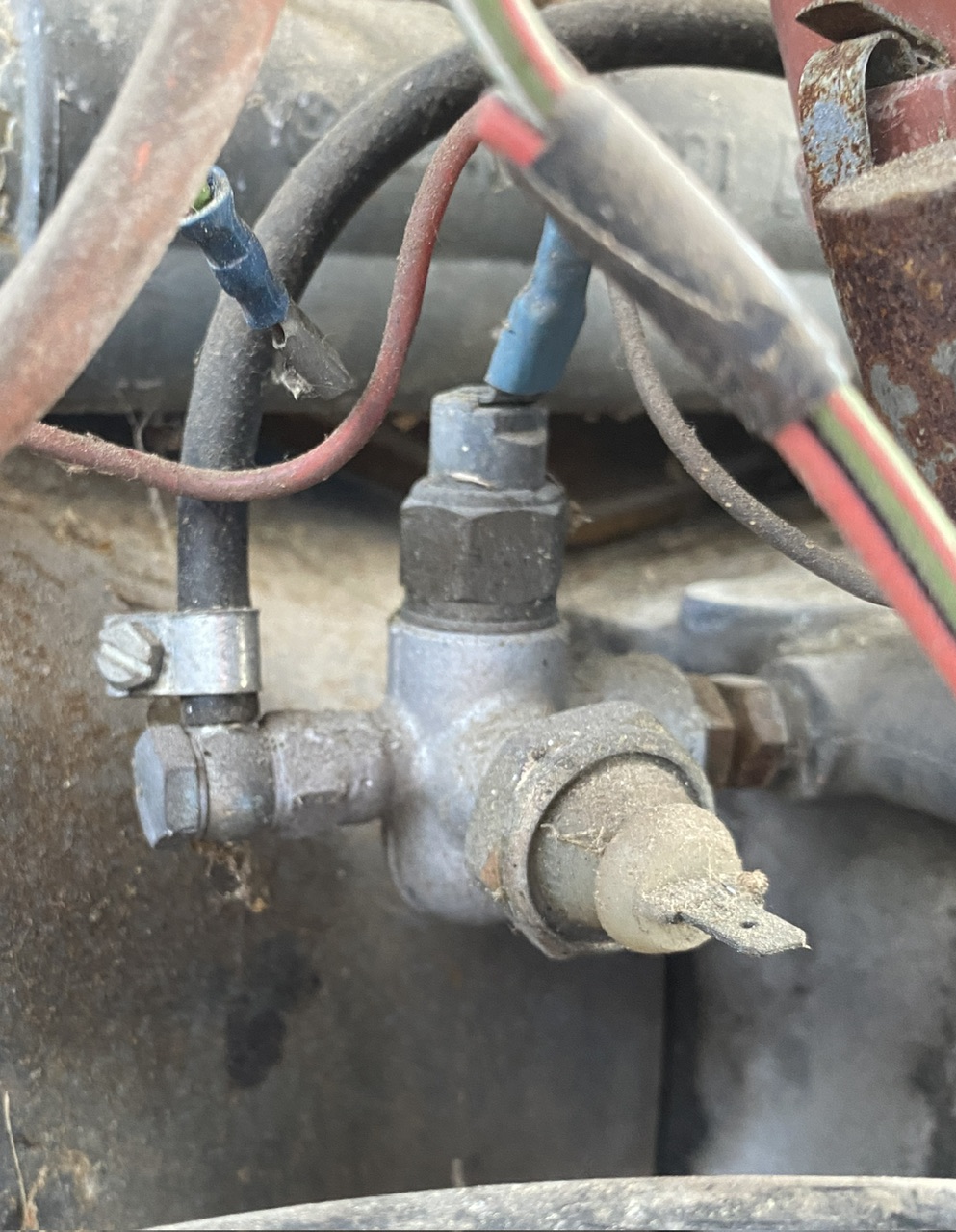 IMG_2994.jpeg, 308.84 kb, 993 x 1280