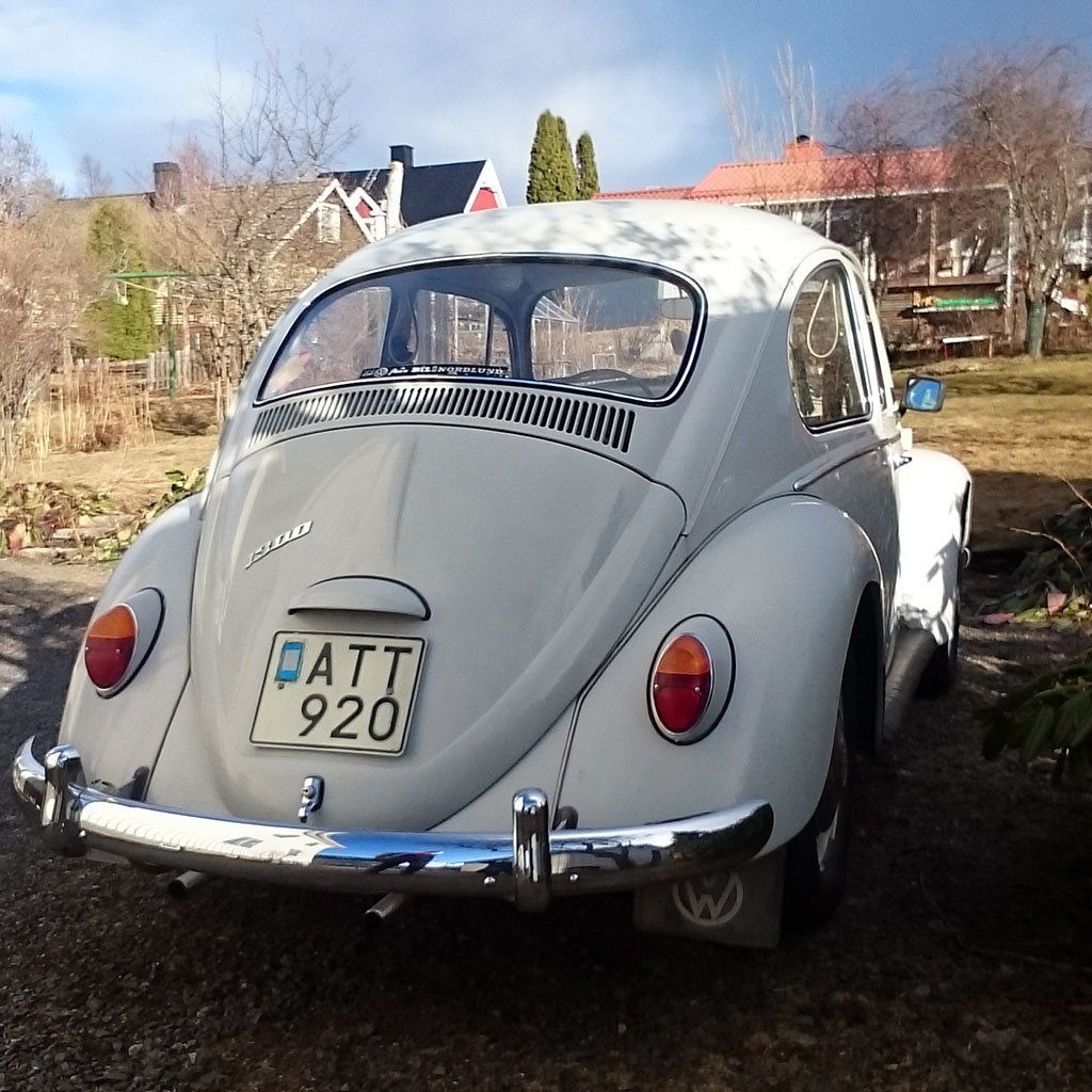 DSC_0136b.jpg, 198.1 kb, 1024 x 1024