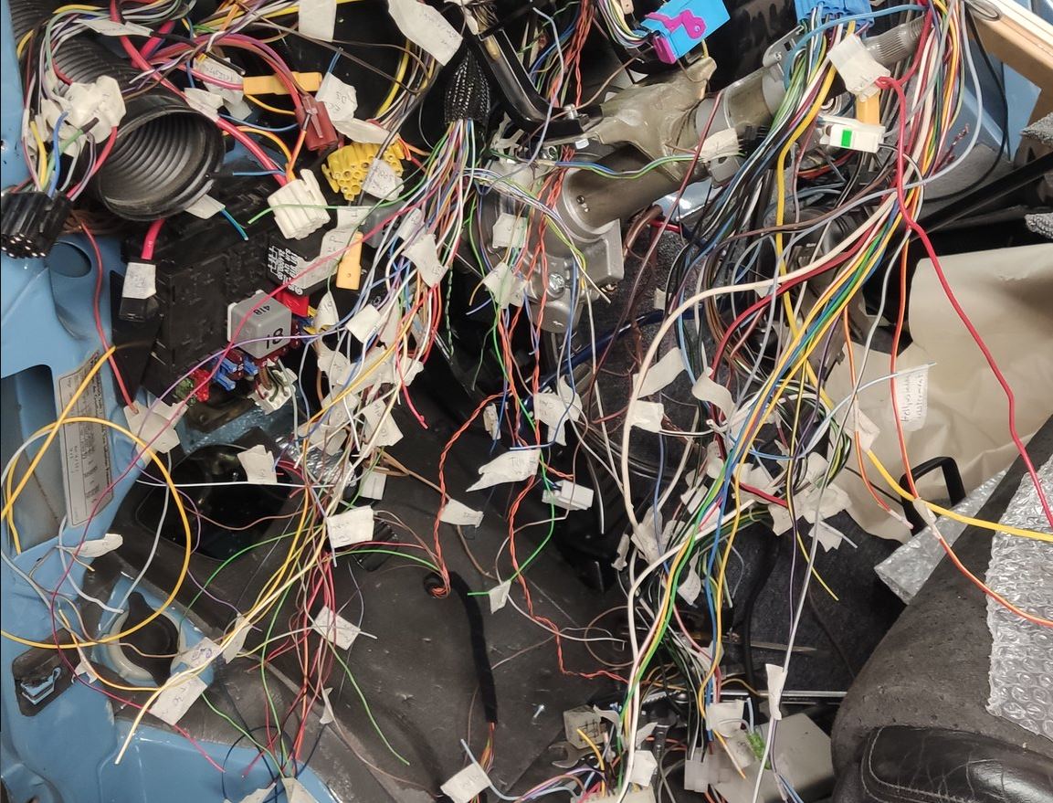 djungel.JPG, 260.22 kb, 1153 x 879