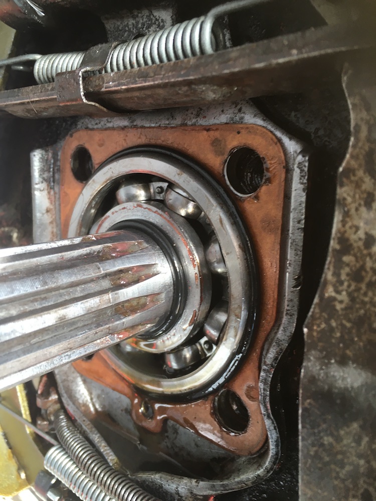 2.62 not squashed_SML.jpg, 220.5 kb, 750 x 1000