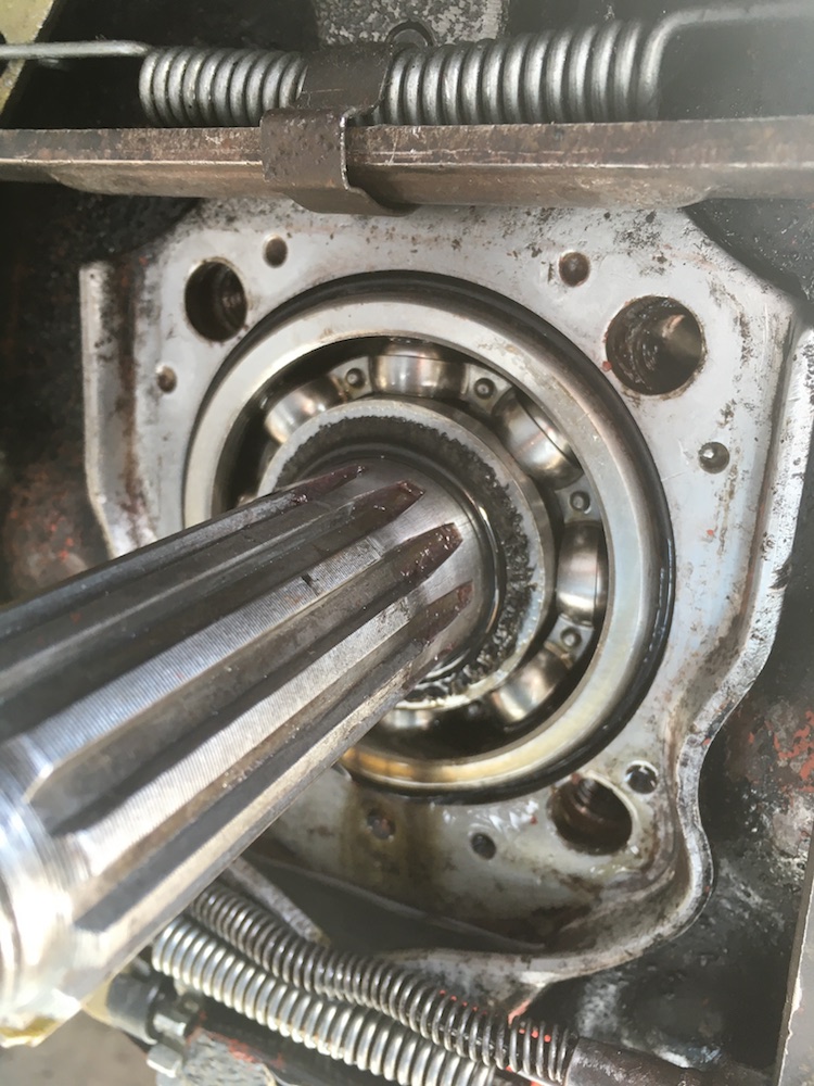 2.9 squashed_SML.jpg, 226.26 kb, 750 x 1000