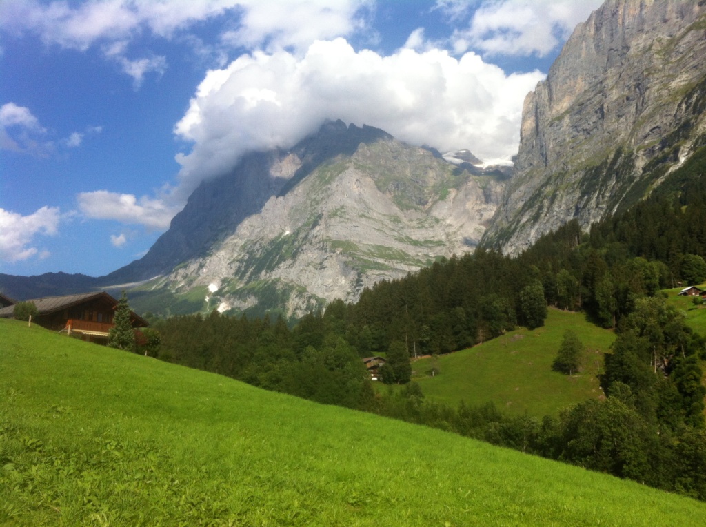 IMG_2583.JPG, 287.51 kb, 1024 x 765