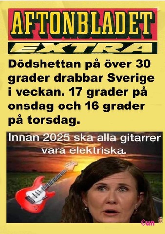 Elgitarr.jpg, 66.21 kb, 338 x 479