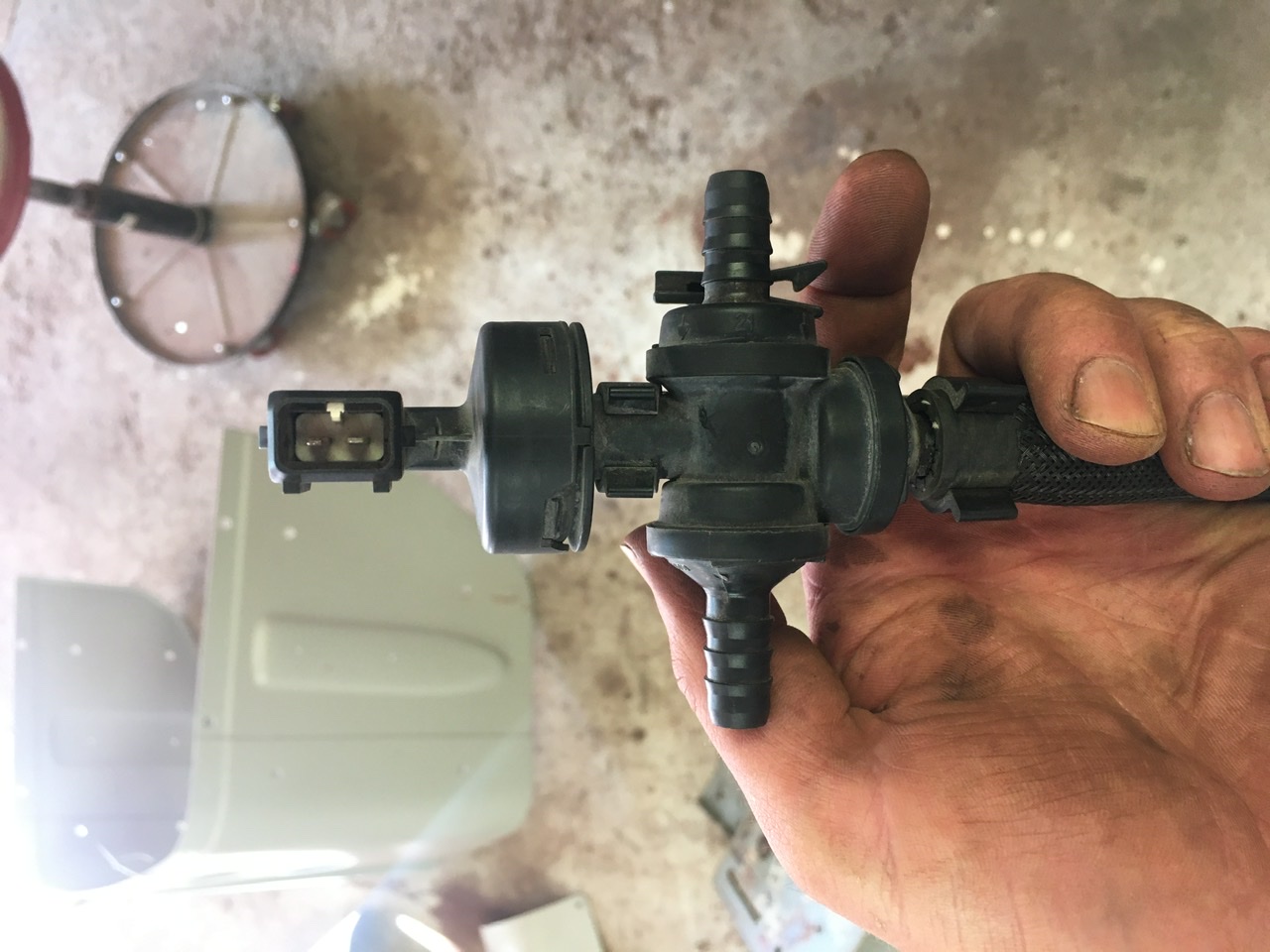 8004A467-1267-4DE9-B8F7-792528350954.jpeg, 245.44 kb, 1280 x 960