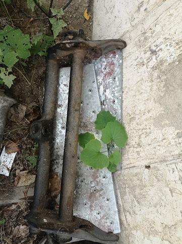 IMG_20230830_073623.jpg, 101.96 kb, 361 x 482