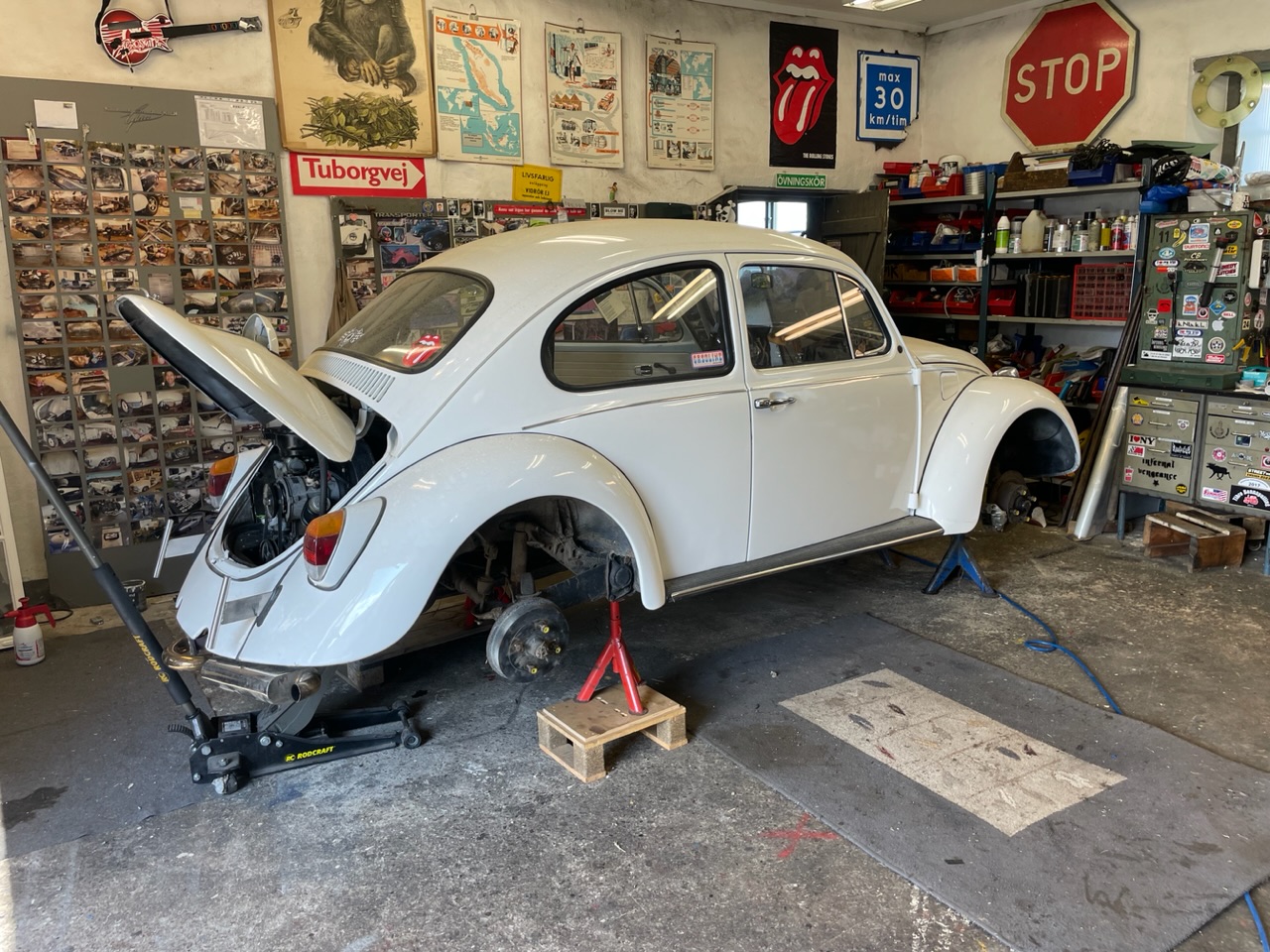 IMG_3379.jpeg, 509.41 kb, 1280 x 960