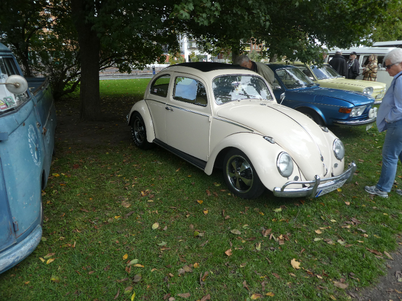 P1050724.JPG, 723.39 kb, 800 x 600