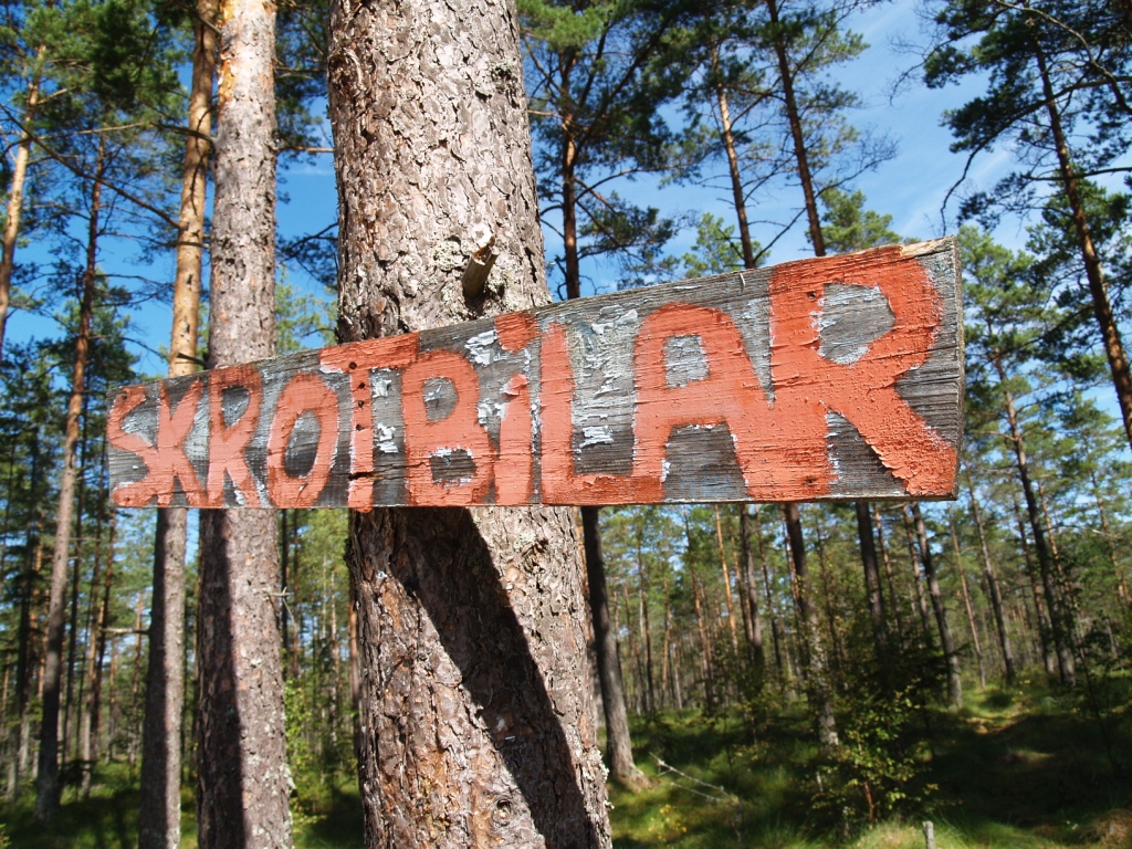 P8158236.JPG, 648.58 kb, 1024 x 768