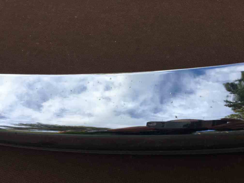 IMG_1050.JPG, 29.35 kb, 1008 x 756