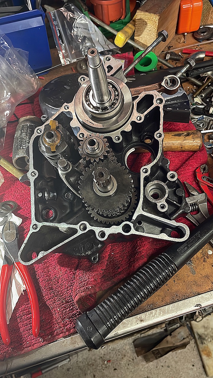 IMG_1800.jpeg, 477.35 kb, 720 x 1280