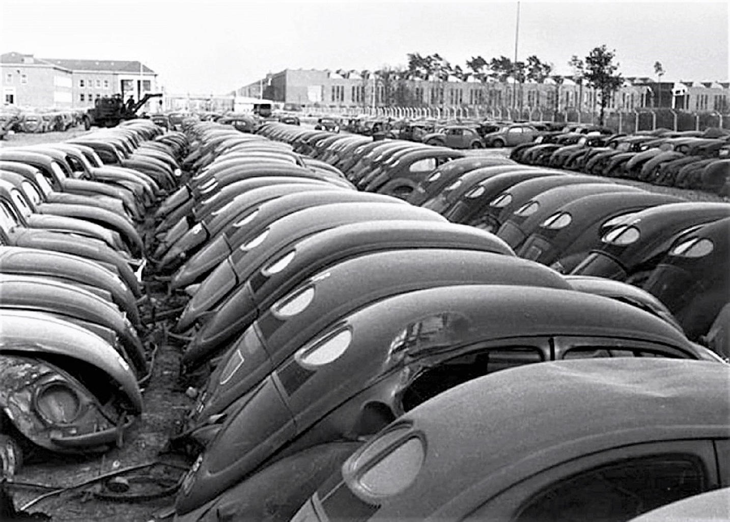 406494154_368051035797220_7062981796233793661_n (2).jpg, 465.98 kb, 1434 x 1025