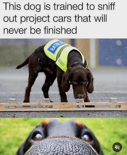 Screenshot_20231216_111423_Instagram.jpg, 87.24 kb, 432 x 527